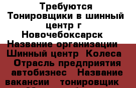 Требуются Тонировщики в шинный центр г. Новочебоксарск › Название организации ­ Шинный центр “Колеса“ › Отрасль предприятия ­ автобизнес › Название вакансии ­ тонировщик › Место работы ­ Новочебоксарск, ул. Пионерская, 18 › Подчинение ­ Бригадир  › Минимальный оклад ­ 15 000 › Максимальный оклад ­ 20 000 › База расчета процента ­ от объема выполненных работ - Чувашия респ., Новочебоксарск г. Работа » Вакансии   . Чувашия респ.,Новочебоксарск г.